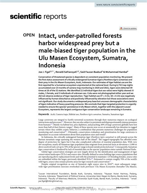 Intact, under-patrolled forests harbor widespread prey … - raincitystudios.com