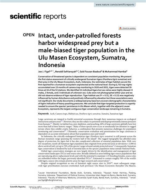 Intact, under-patrolled forests harbor widespread prey but a male ... - raincitystudios.com