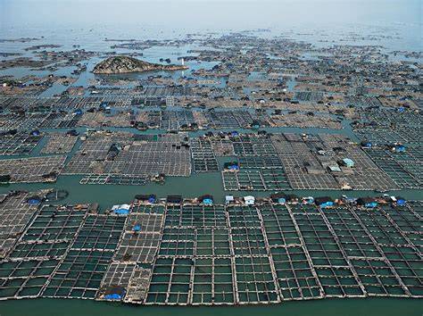 INTEGRATED FISH FARMING IN CHINA - raincitystudios.com