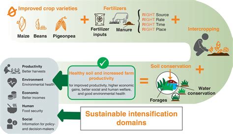 Integrated Framework for Sustainable Remediation of Soil ... - Springer - muktibox.com