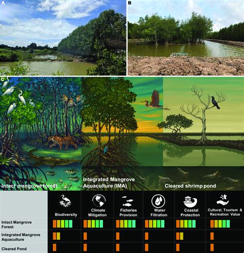INTEGRATED MANGROVE - muktibox.com