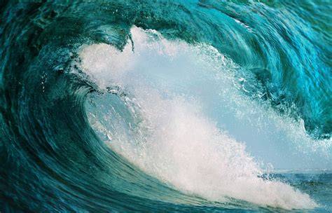 Integrated ocean data management | RPS - raincitystudios.com