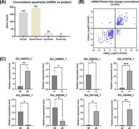 Integrated physiological, multi-omics analyses reveal key factors ... - raincitystudios.com