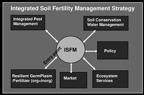 Integrated soil fertility management practices for … - raincitystudios.com