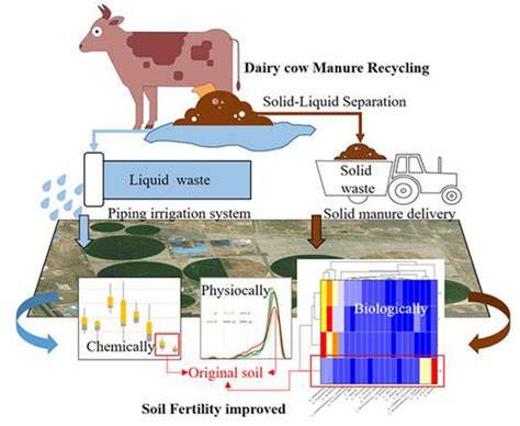 Integrated Use of Livestock Manure and Inorganic Fertilizer for ... - raincitystudios.com