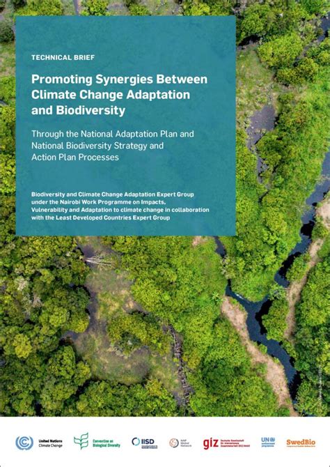 Integrating climate adaptation and biodiversity … - raincitystudios.com