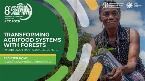 Integrating Forests & Trees into Urban Planning - UNECE - raincitystudios.com
