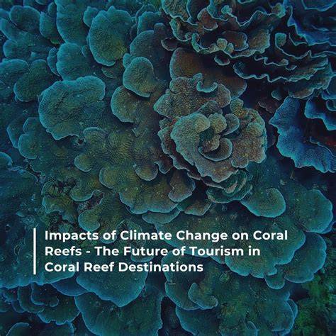 Integrating Marine Conservation Efforts Along Tourist … - raincitystudios.com
