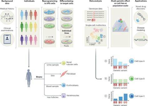Integrating population genomics and biophysical … - raincitystudios.com
