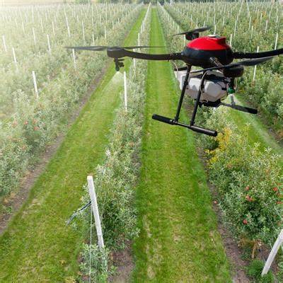 Integration of Advanced Technologies in Orchard Management - raincitystudios.com