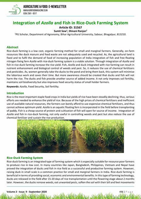 Integration of Azolla and Fish in Rice-Duck Farming System - raincitystudios.com