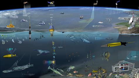 Intelligent Image Monitoring Technology of Marine Environmental ... - raincitystudios.com