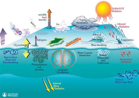 Interaction mechanism of global multiple ocean ... - ScienceDirect - raincitystudios.com