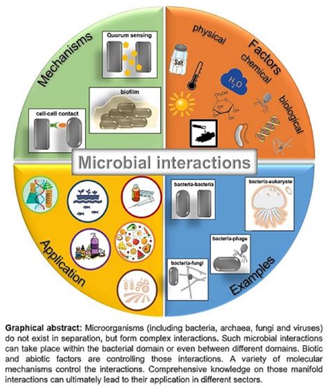 Interactions between microbial diversity and substrate chemistry ... - wintechmobiles.com