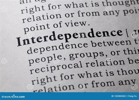 INTERDEPENDENCY English meaning - Cambridge Dictionary