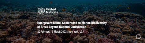 Intergovernmental Conference on Marine Biodiversity of … - raincitystudios.com