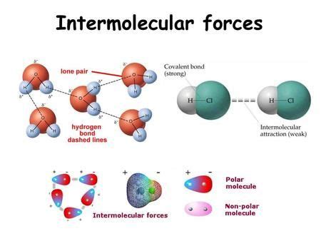 Intermolecular force - wintechmobiles.com
