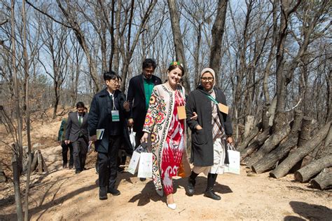 International Day of Forests [FAO] | United Nations - muktibox.com