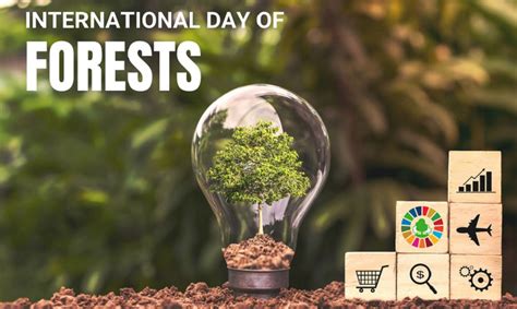 International Day of Forests | Division for Inclusive Social ... - muktibox.com