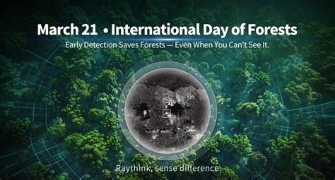 International Day of Forests | United Nations - muktibox.com