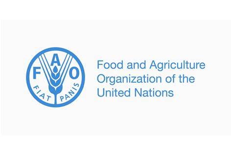 International Day of Forests 21 March | FAO | Food and … - raincitystudios.com