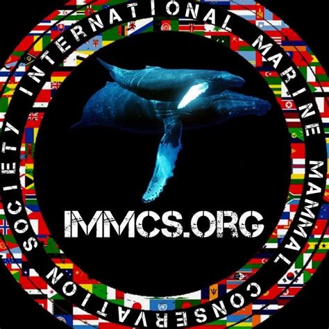 International Marine Mammal Conservation - NOAA Fisheries - muktibox.com