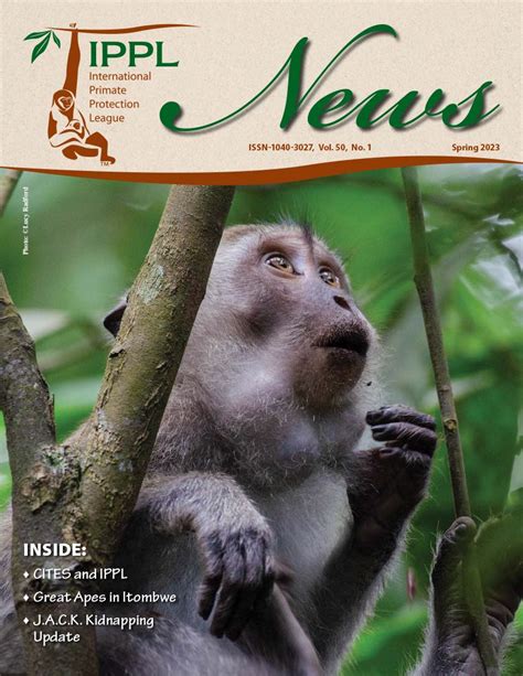 International Primate Protection League | Sanctuaries Chimpanzees - raincitystudios.com