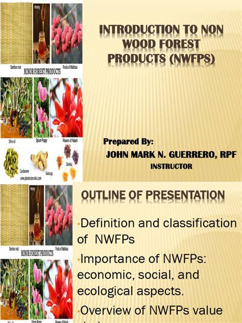 International trade in non-wood forest products: An overview - VII ... - raincitystudios.com