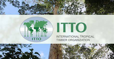 INTERNATIONAL TROPICAL TIMBER ORGANIZATION - raincitystudios.com