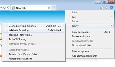 Internet Browser Privacy Tips — Safety Net Project - coolestguyplanet.net