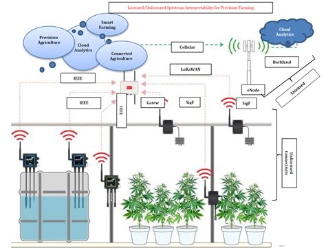 Internet of Things based Sensor System for Vertical Farming and ... - coolestguyplanet.net