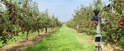 Internet of things-based smart system for apple orchards monitoring … - raincitystudios.com