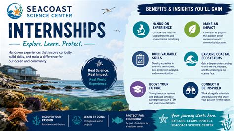 Internships | Marine Biological Laboratory - raincitystudios.com