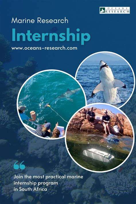 Internships in Marine Ecology - Archipelagos - raincitystudios.com