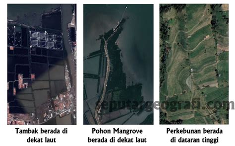 Interpretasi Foto Udara untuk Identifikasi Ekosistem Pantai dan ... - UHO - raincitystudios.com