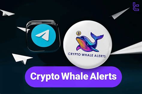 Interpreting Whale Alerts Crypto - From Signal to Strategy - coolestguyplanet.net