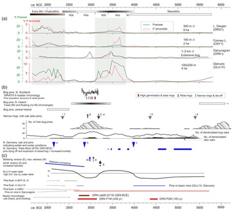 INTERVALIDATION OF DENDROCHRONOLOGY AND 14C DATING … - wintechmobiles.com