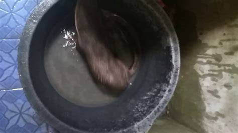 INTIP TANTE MANDI abg ML & Bocoran seleb bugil cara cepat Bisa dengar langsung XoZilla4K Milf 220 image 1