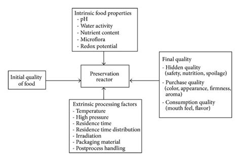 Intrinsic and Extrinsic Factors Involved in the Preservation of Non ... - wintechmobiles.com