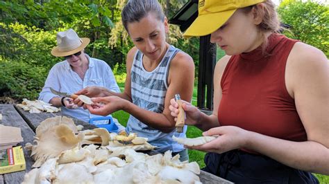 Intro to Seattle Mushroom Foraging - muktibox.com