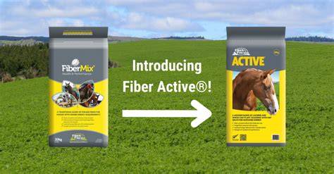 Introducing Fiber ACTIVE! Formerly known as “Mix ... - raincitystudios.com