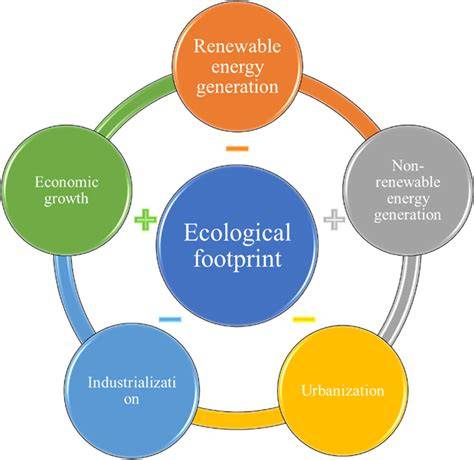 INTRODUCTION, GROWTH PERFORMANCE AND ECOLOGICAL … - raincitystudios.com
