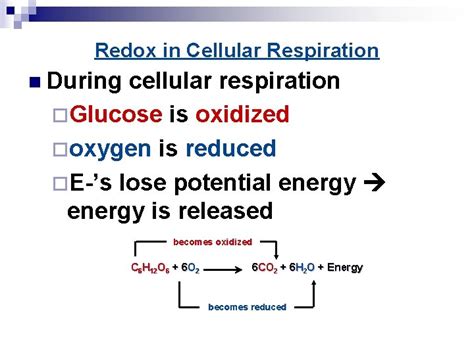 Introduction to cellular respiration and redox - Khan Academy - muktibox.com