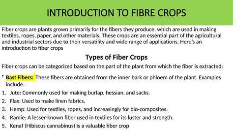 Introduction to fiber crops and their potential uses - raincitystudios.com