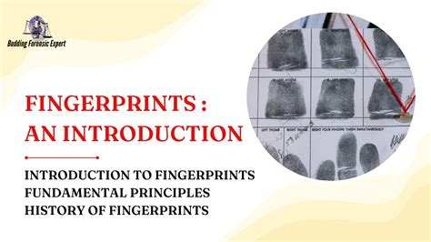 Introduction to Fingerprints | Springer Nature Link - wintechmobiles.com