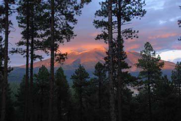 Introduction to Montane Forests of the Southwest - raincitystudios.com