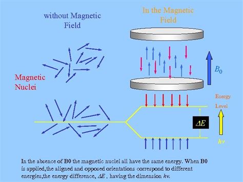 Introduction to nuclear magnetic resonance - ScienceDirect - wintechmobiles.com