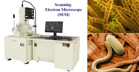 Introduction to the Scanning Electron Microscope - wintechmobiles.com
