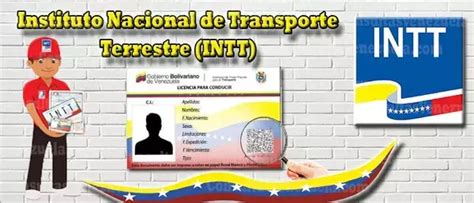 INTT: Citas, Consulta en línea, Licencia de Conducir