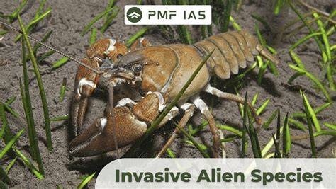Invasive Alien Species - IUCN - raincitystudios.com